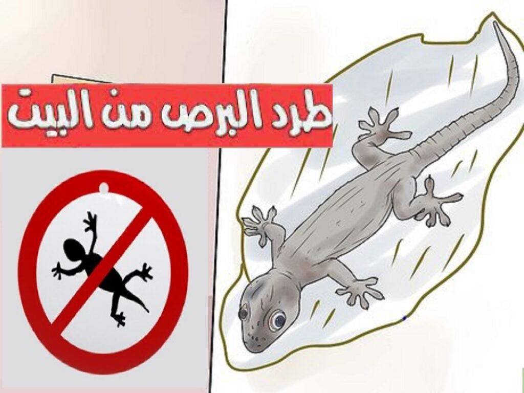 افضل شركة مكافحة الوزغ بمكة