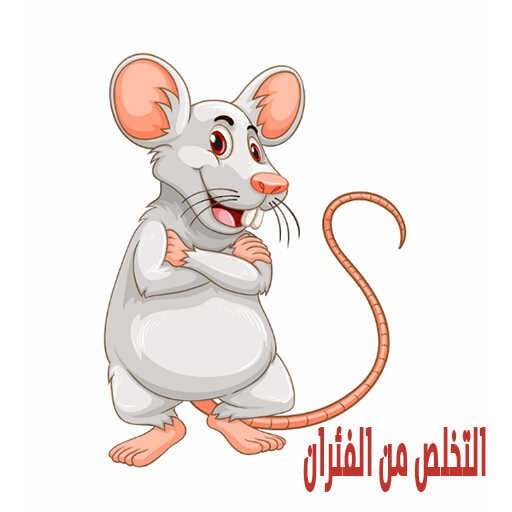 القضاء على الفئران بمكة