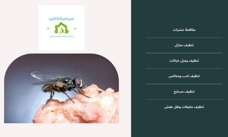 ابادة الذباب والناموس بجدة