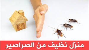 وصفه للقضاء على الصراصير بمكة