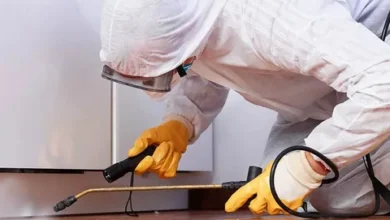 ابادة النمل بمكة