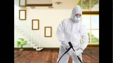 ابادة النمل فى جدة