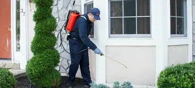 ابادة النمل فى مدينة جدة