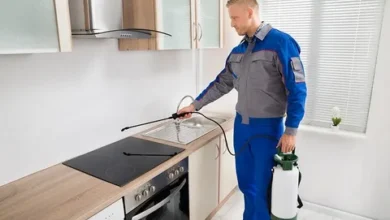 ابادة النمل فى مكة