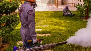 ابادة نمل بجدة