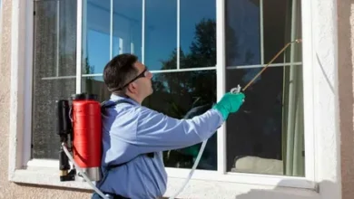 ابادة نمل فى جدة