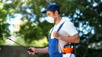 ابادة نمل فى مدينة جدة