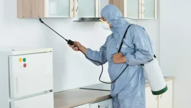 ابادة نمل فى مكة