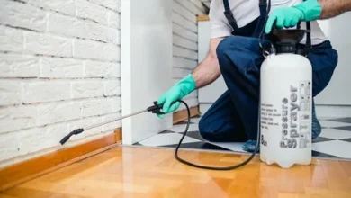 القضاء على فئران جدة