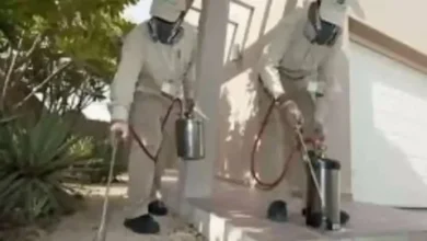 قضاء على فئران جدة